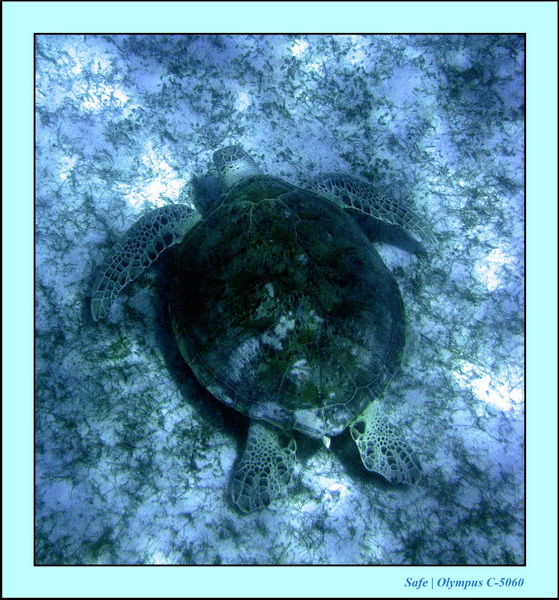 2005 - 08 - Perhentian  - 103.JPG